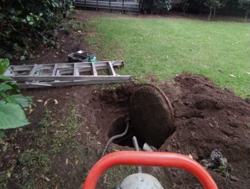 desazolves economicosFirmex12